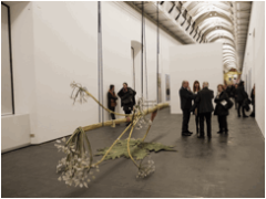 Ingela Ihrman, The Giant Hogweed (La Panace gigante), 2016 veduta dell’installazione al Castello di Rivoli Museo d’Arte Contemporanea Foto Renato Ghiazza