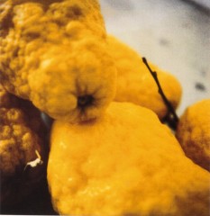 CY TWOMBLY - Lemons, Gaeta 2005